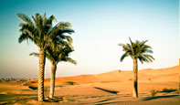 Desert 