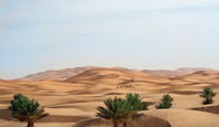 Desert 